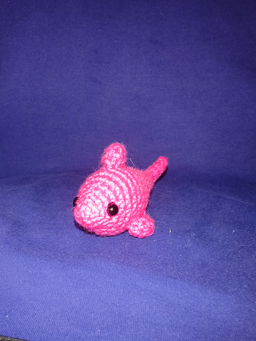Dolphin