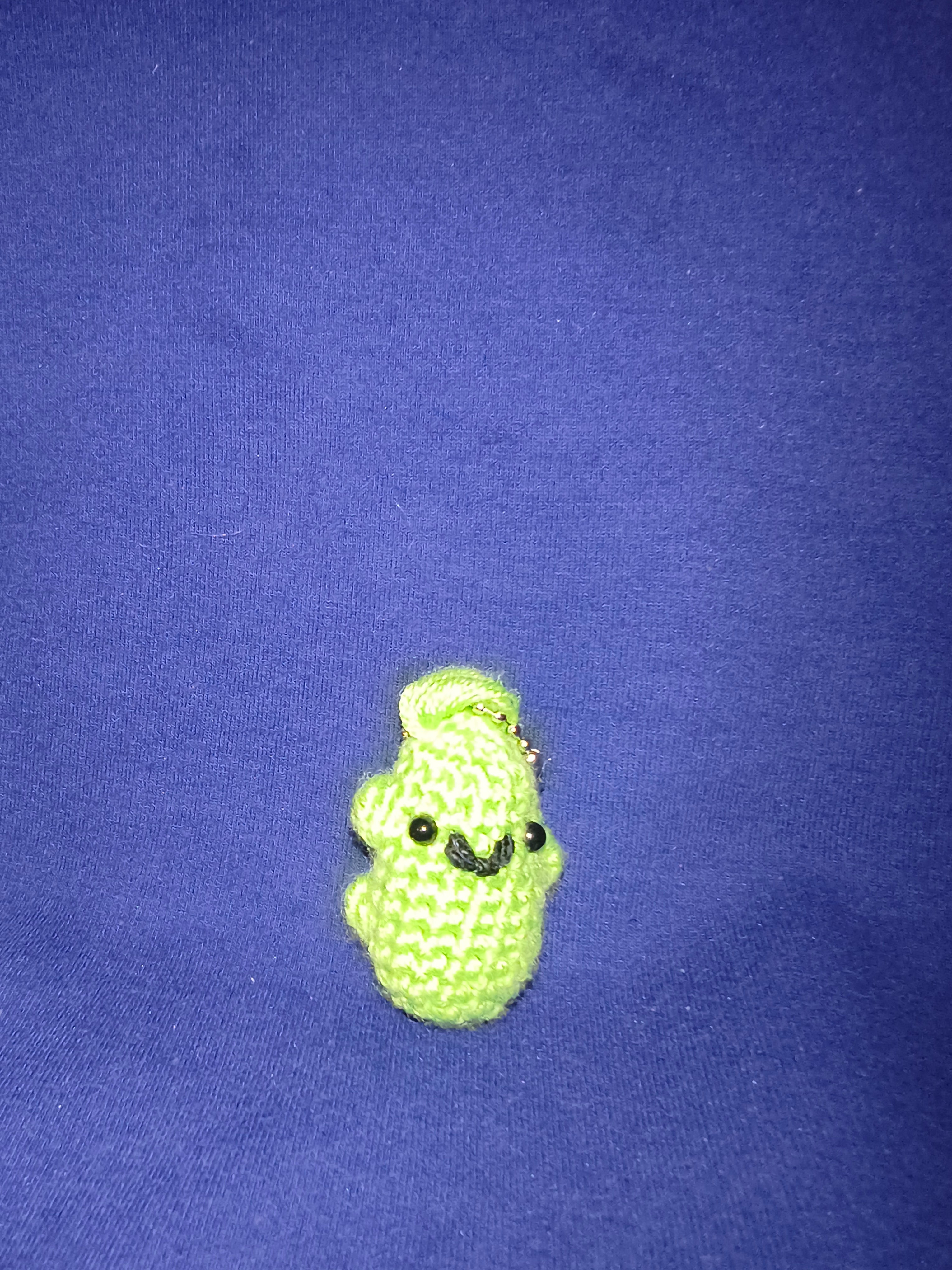 Pickle keychain