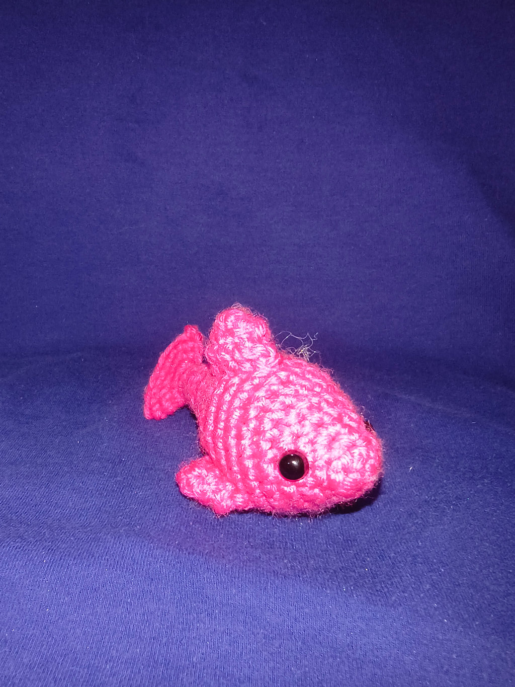 Dolphin